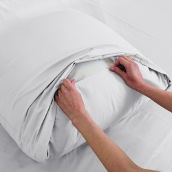 Taie d'oreiller Blanc 100% Coton 50x70 cm TEX HOME