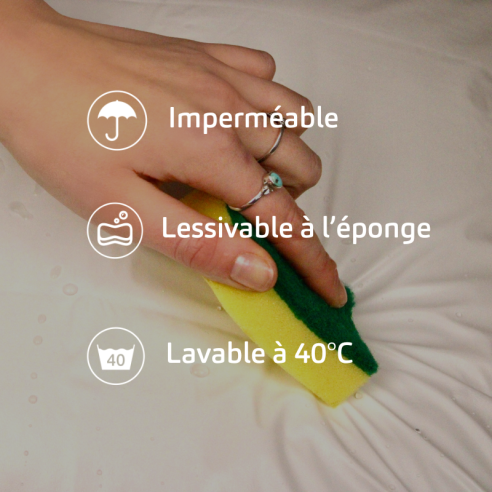 Rénove oreiller lessivable imperméable blanc caractéristiques nettoyage à l'éponge