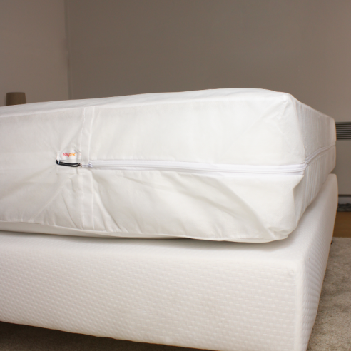 rénove matelas anti-punaises de lit ambiance rénove matelas anti-punaises de lit ambiance