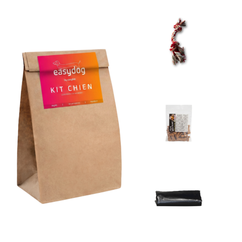 Kit chien
