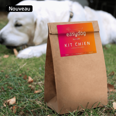 Kit chien